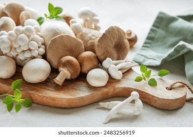 红杏视频欢迎回家：畅享精彩视频，重温美好时光！