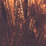 精选女生生日礼物推荐:让她感受到你的心意 1uxan