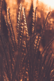 精选女生生日礼物推荐：让她感受到你的心意