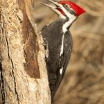 畅享咚漫漫画在线看,尽情探索精彩故事世界 221bbr1rq