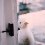 畅享四虎影视,免费观看最新热门电影推荐 31404s