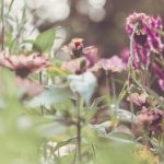 畅享在线免费电影大全,尽情观看经典与新片 3uptd