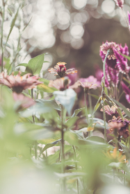 畅享在线免费电影大全，尽情观看经典与新片