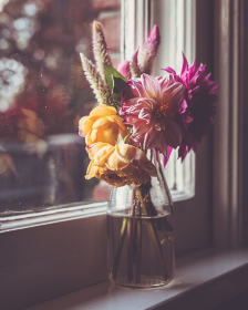 精美的Hanime壁纸推荐：为你的设备增添色彩