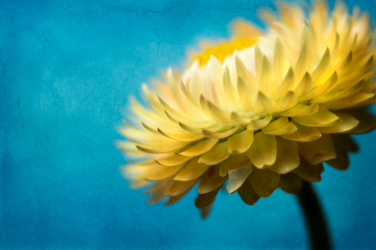 繁体无名网怎么打开：详细步骤与常见问题解答指南