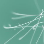 畅享国家队樱花动漫免费资源,尽情追番不花钱 kvj46q6xx