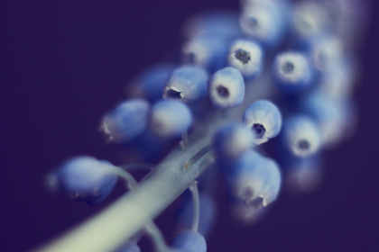 畅享四虎影库在线永久影院免费观看的无限精彩