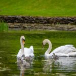 红桃tv vip.98:畅享高清影视,尽在红桃TV VIP会员服务 pqx2w