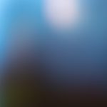 糖心柚子猫短视频vlog:探索萌宠日常,分享甜蜜生活点滴 rwnjj6