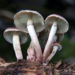 畅享在线高清电影,尽情体验视听盛宴 ujoy25q7a