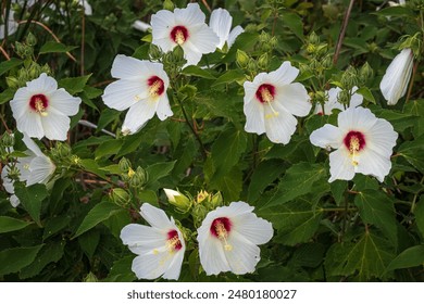 精选小姐姐壁纸，打造你的个性桌面