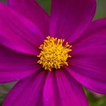 畅享即看影视在线观看,尽情体验精彩影视世界 y1gzefuhs