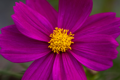 畅享即看影视在线观看，尽情体验精彩影视世界